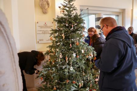 2024_12_02 Okrasevanje jelke-2